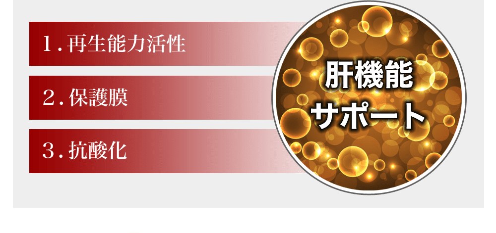 肝機能に対する効能：1.再生能力活性効果 2.保護膜効果 3.抗酸化作用