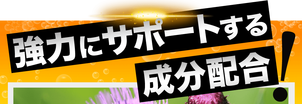 強力にサポートする成分配合!