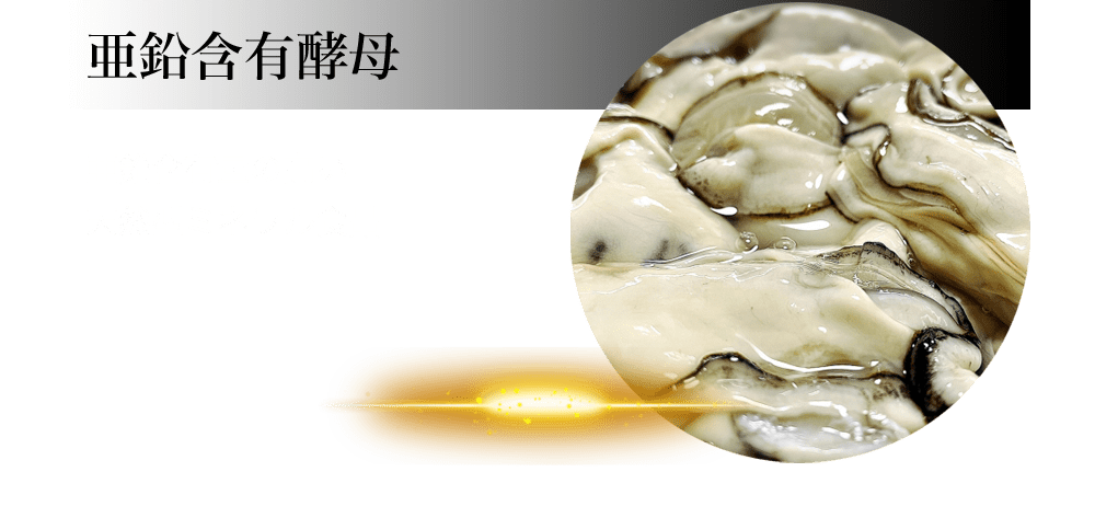 亜鉛含有酵母：高い亜鉛含有量の天然型ミネラル食品