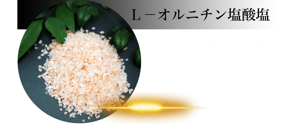 Ｌ－オルニチン塩酸塩：より良い気分の目覚めが期待できる機能