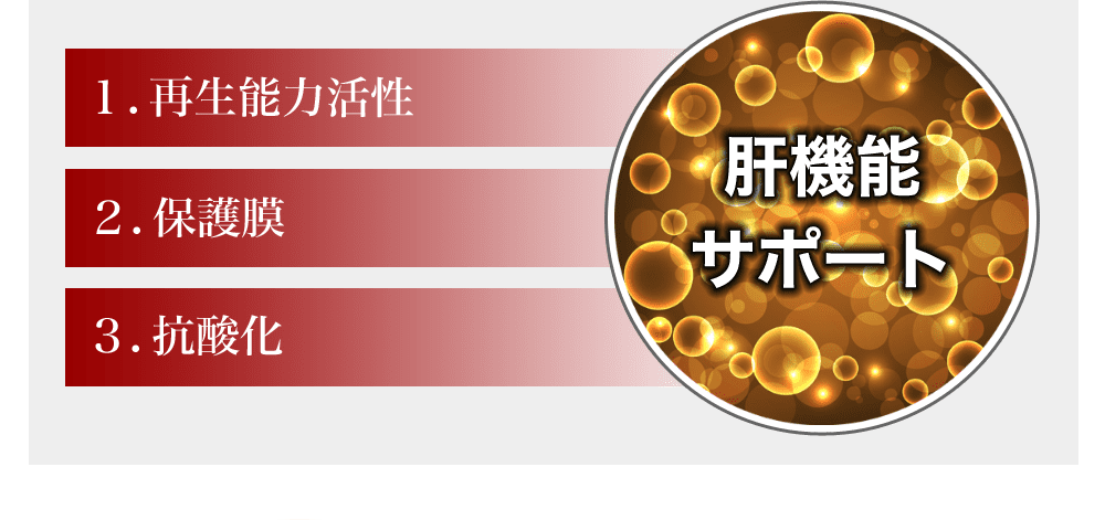 肝機能に対する効能：1.再生能力の活性効果が期待できる 2.保護膜の効果が期待できる 3.抗酸化作用が期待できる