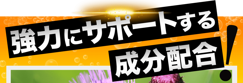 強力なサポートに期待できる成分配合！